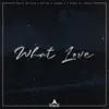 Metra Metrica - What Love (feat. Diego El Cangri, JUANMA C & Nettan) - Single
